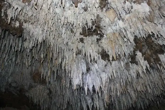 Sırtlanini Mağarası