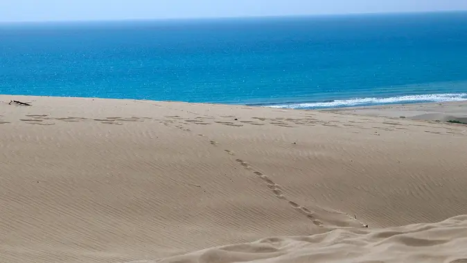 Patara Sahili