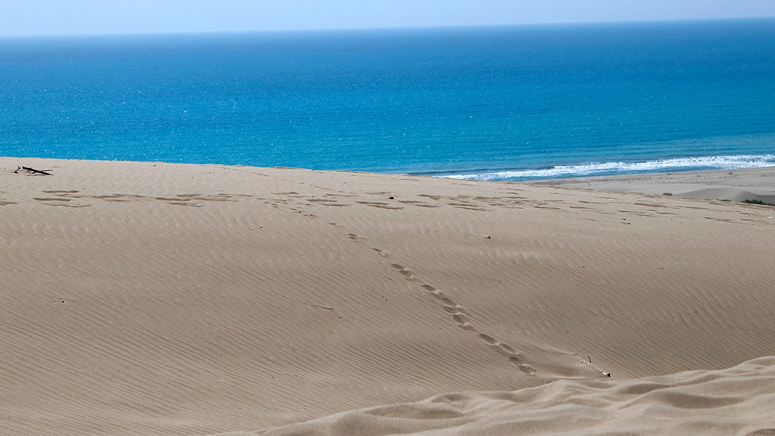 Patara Sahili