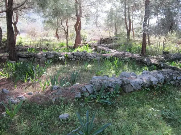 Idyros Antik Kenti