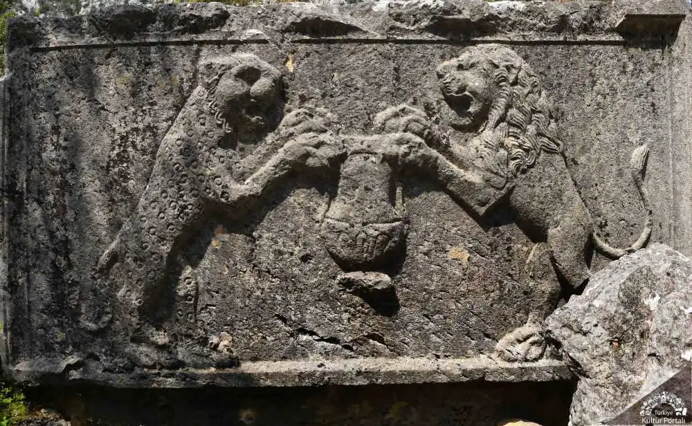 Termessos Antik Kenti