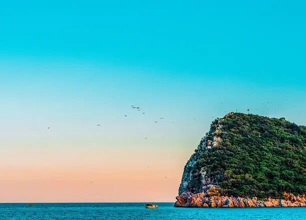 Sıçan Adası