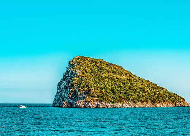 Sıçan Adası