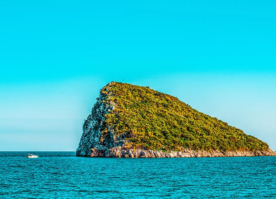 Sıçan Adası
