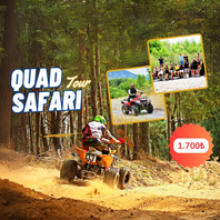 Top Rated Tours Image