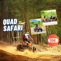 Top Rated Tours Image