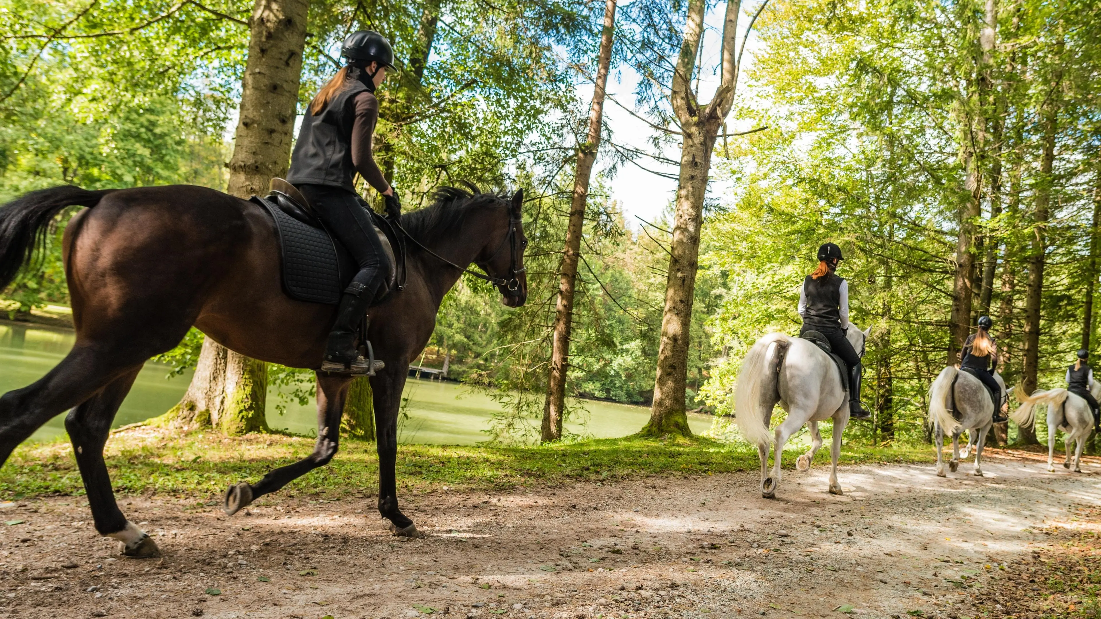 Jungle Horse Safari