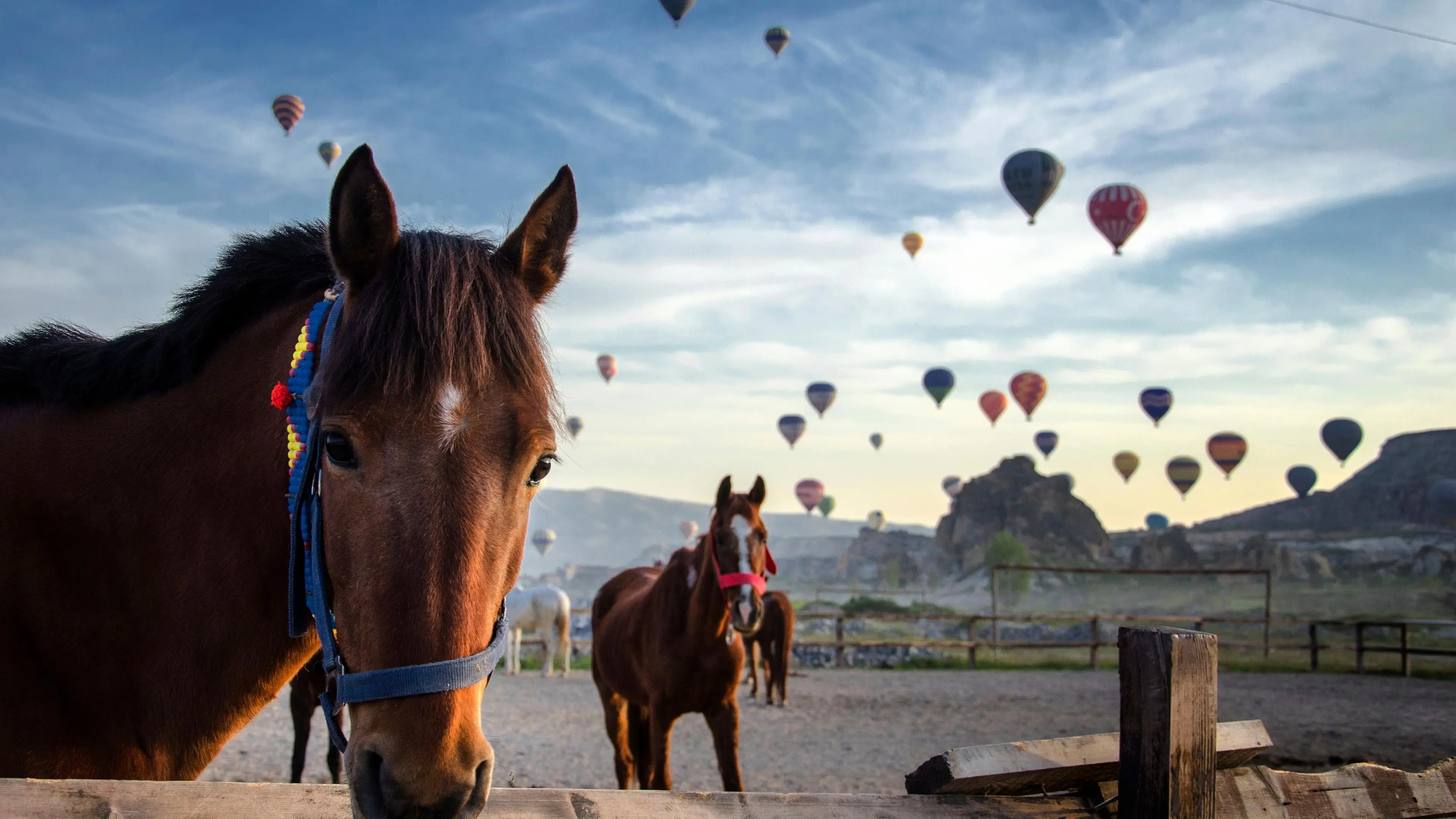 Cappadocia Tour (Include)