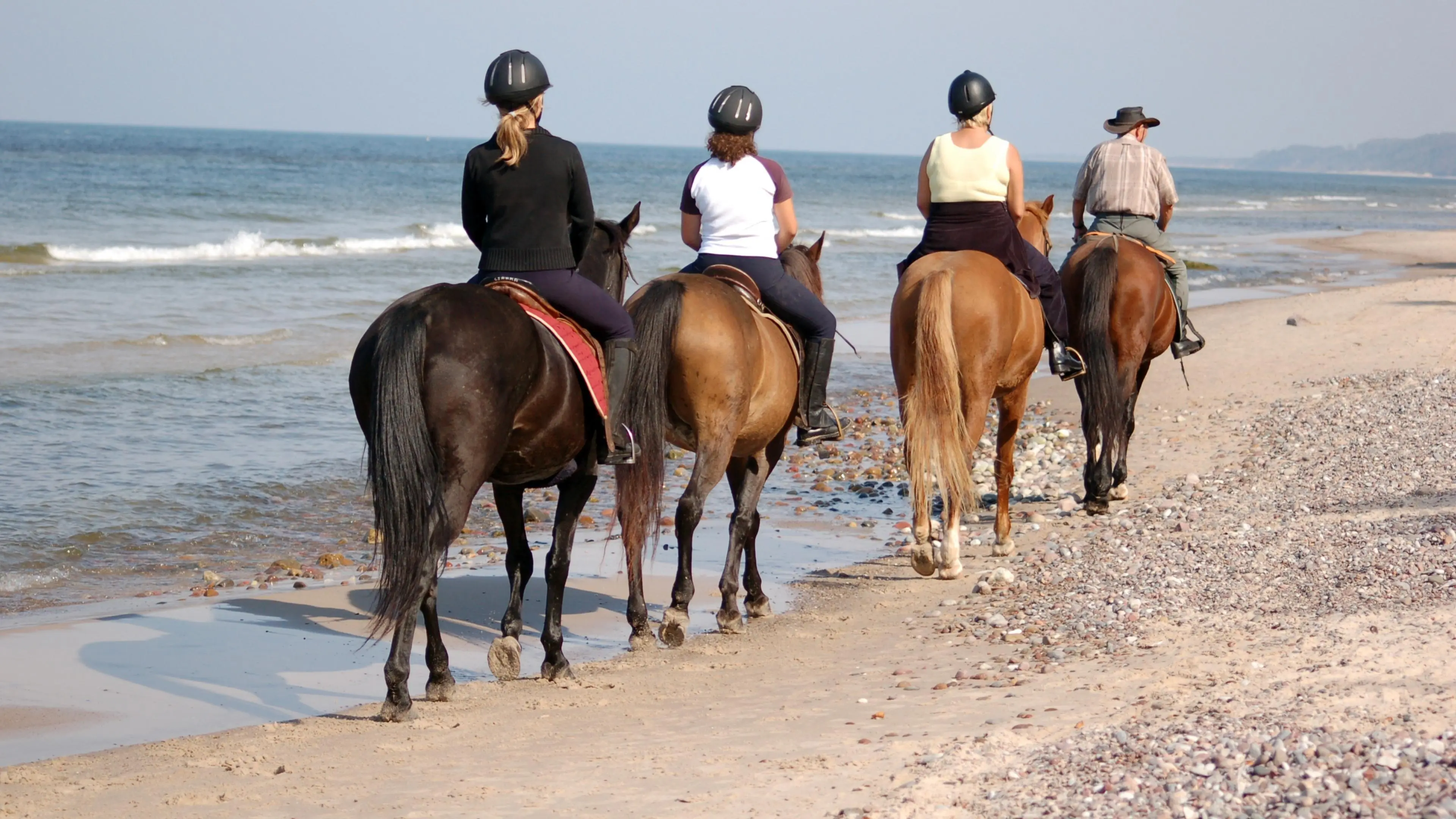 Coast Horse Safari