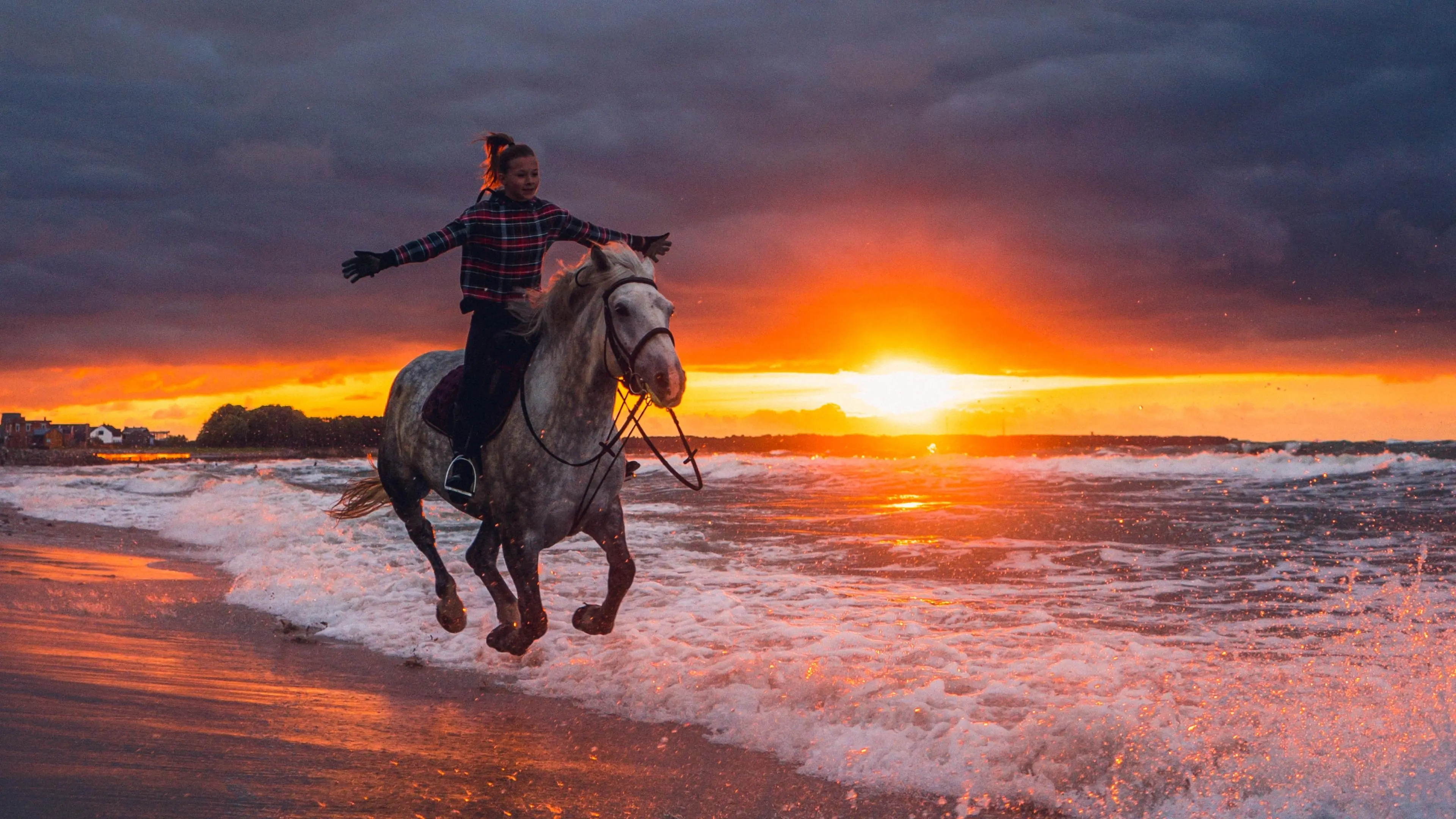 Coast Horse Safari