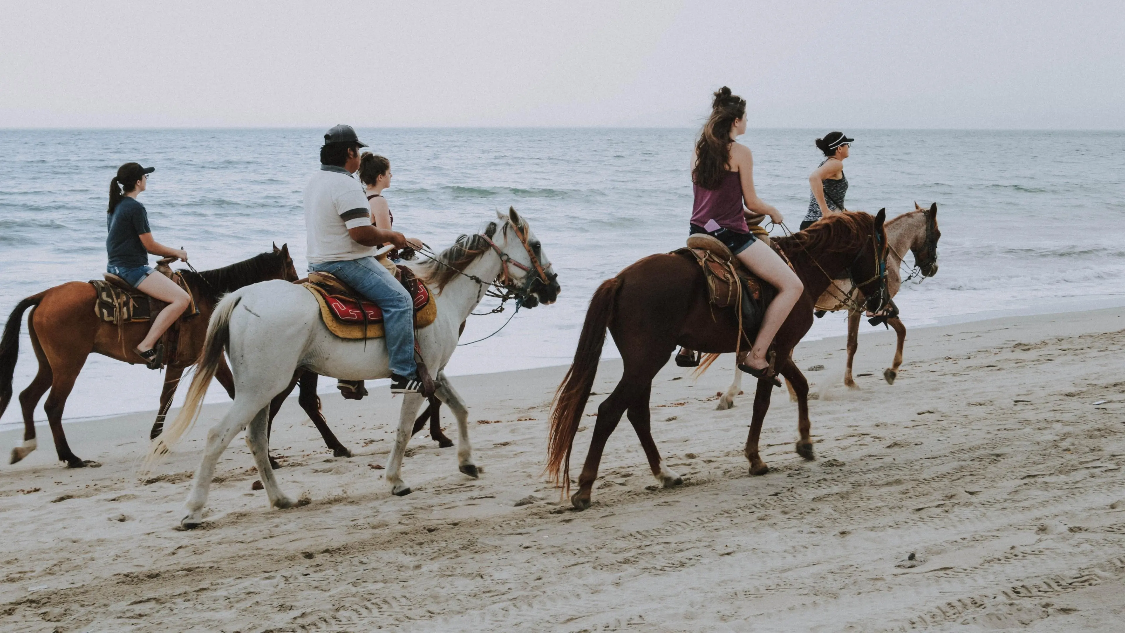 Coast Horse Safari