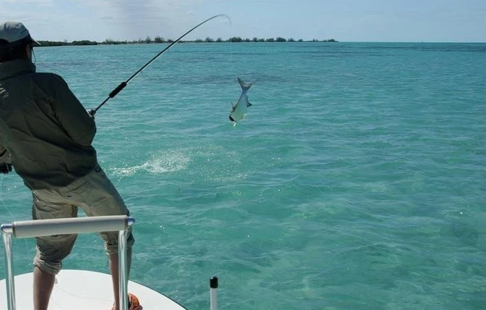 Sea Fishing Alanya