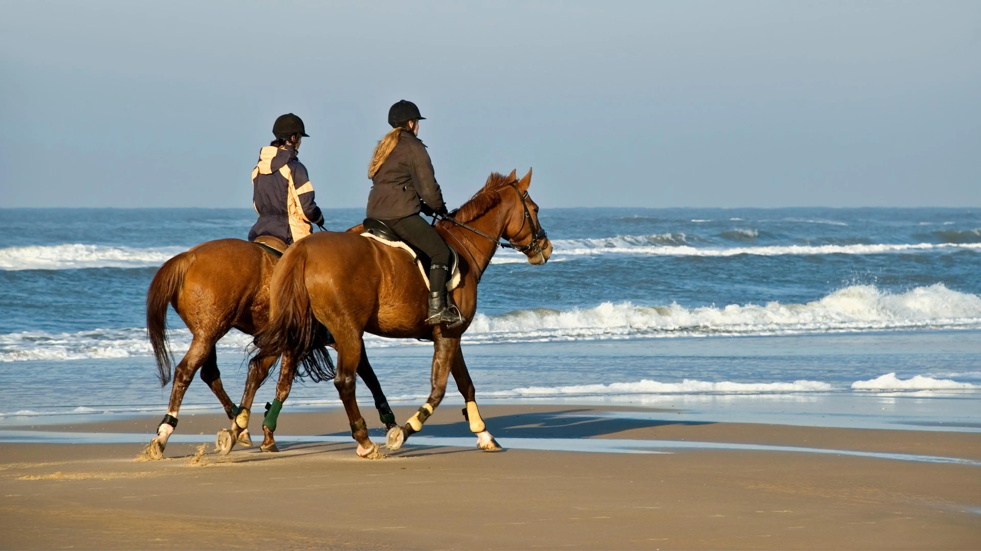 Coast Horse Safari